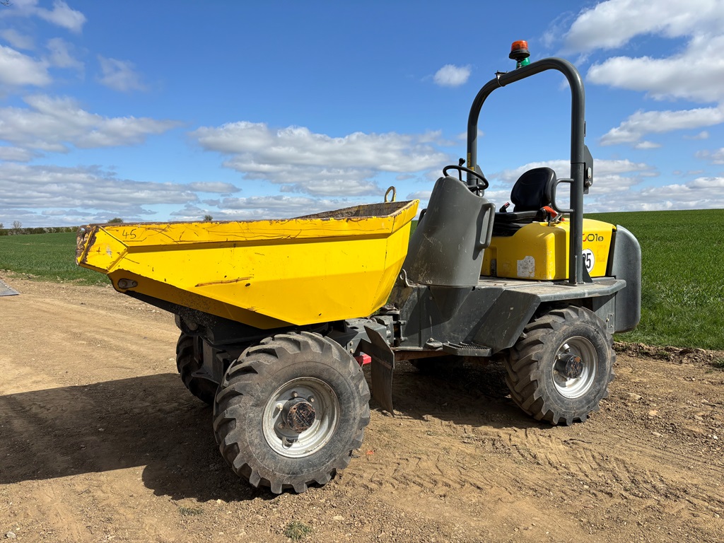 WACKER NEUSON 3001 | Nelson Green